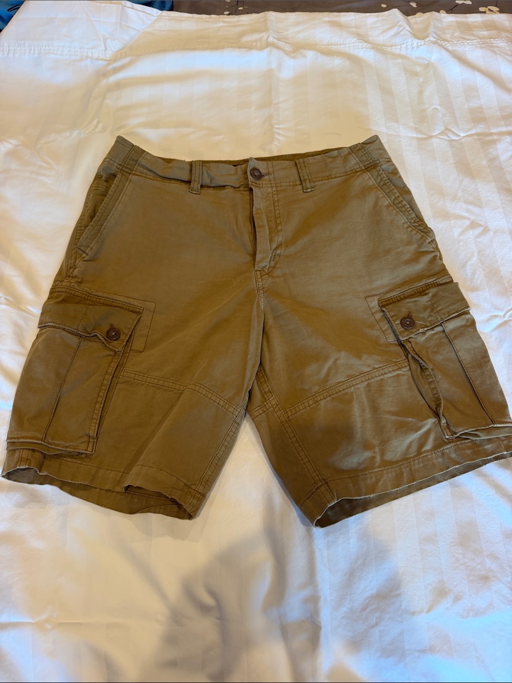 American Eagle Outfitters Olive Green Cargo Shorts